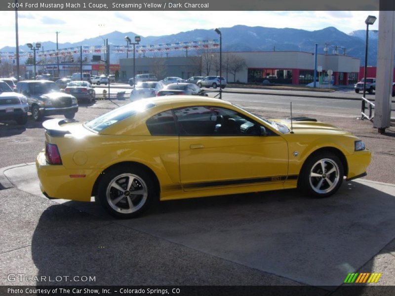Screaming Yellow / Dark Charcoal 2004 Ford Mustang Mach 1 Coupe