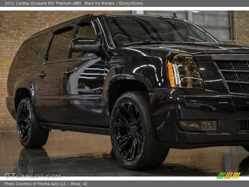 Black Ice Metallic / Ebony/Ebony 2012 Cadillac Escalade ESV Platinum AWD