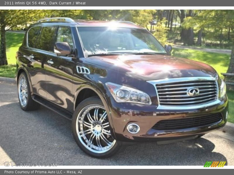Dark Currant / Wheat 2011 Infiniti QX 56 4WD