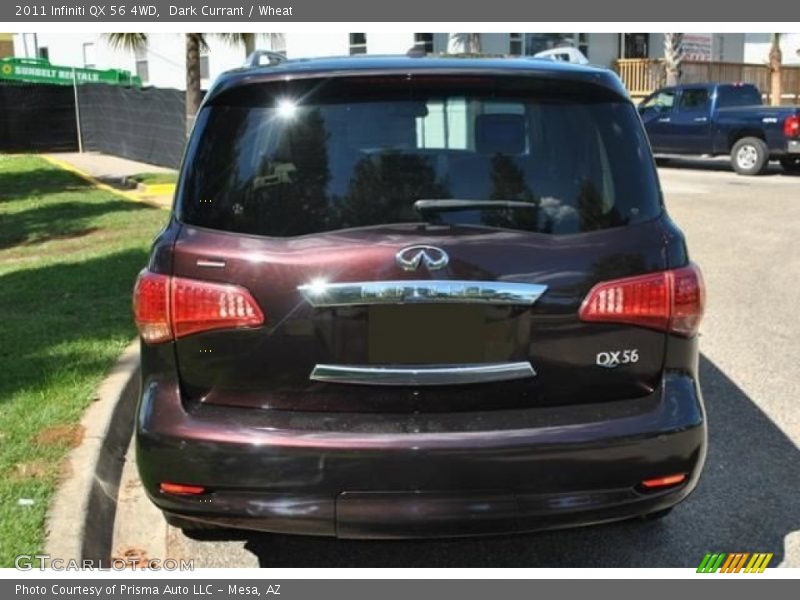 Dark Currant / Wheat 2011 Infiniti QX 56 4WD