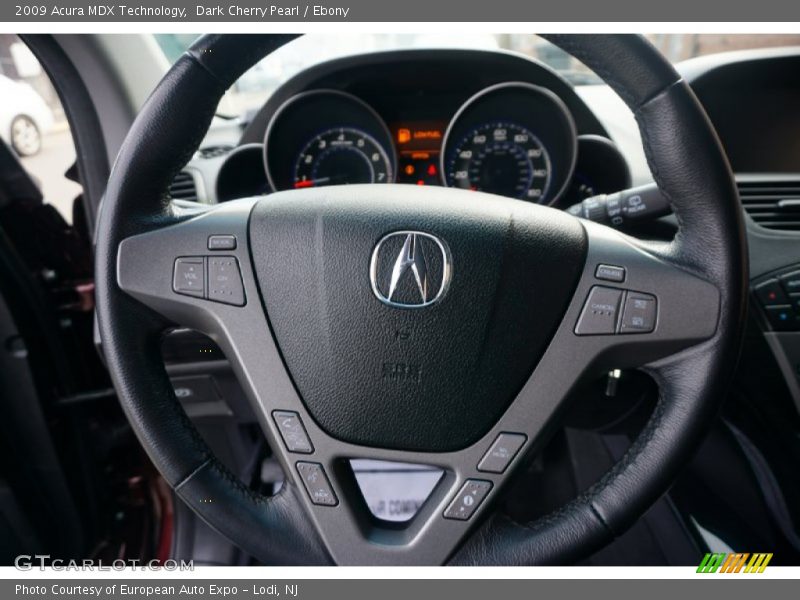 Dark Cherry Pearl / Ebony 2009 Acura MDX Technology