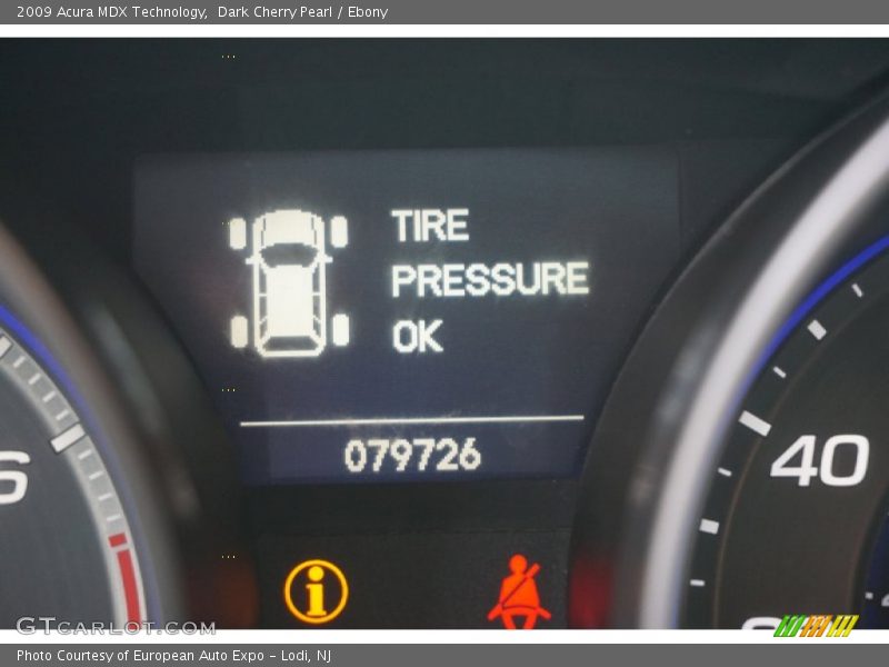 Dark Cherry Pearl / Ebony 2009 Acura MDX Technology