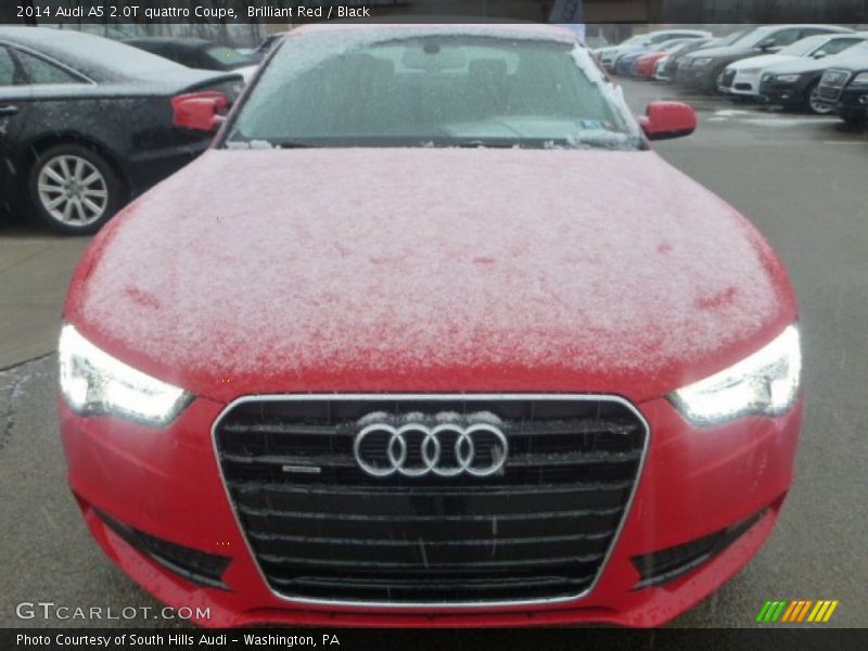 Brilliant Red / Black 2014 Audi A5 2.0T quattro Coupe