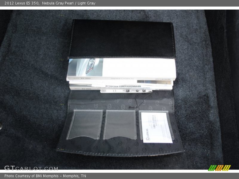 Nebula Gray Pearl / Light Gray 2012 Lexus ES 350