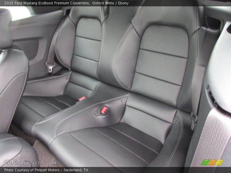 Rear Seat of 2015 Mustang EcoBoost Premium Convertible