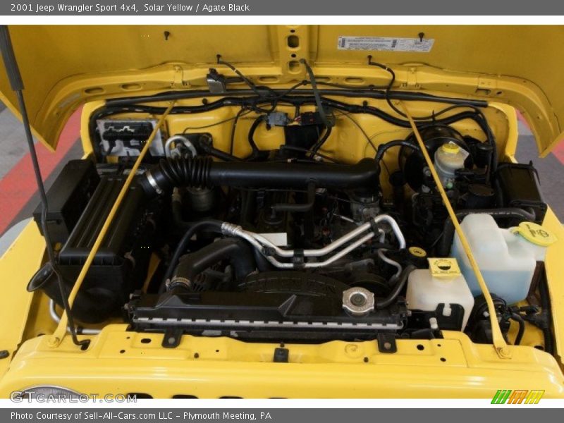 Solar Yellow / Agate Black 2001 Jeep Wrangler Sport 4x4