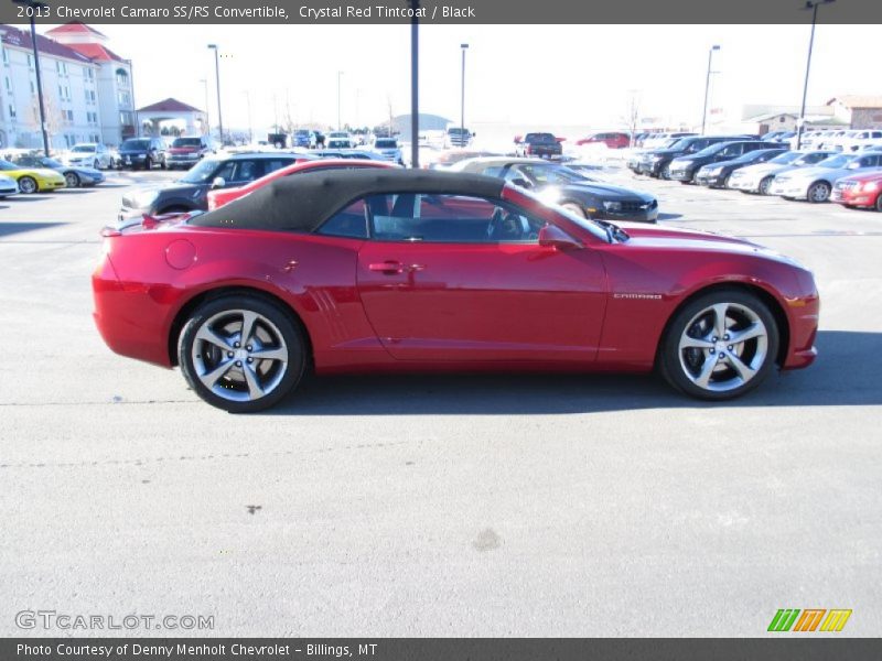 Crystal Red Tintcoat / Black 2013 Chevrolet Camaro SS/RS Convertible