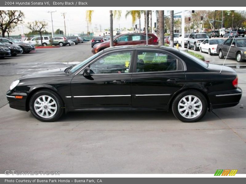 Ebony Black / Black 2004 Hyundai Sonata V6