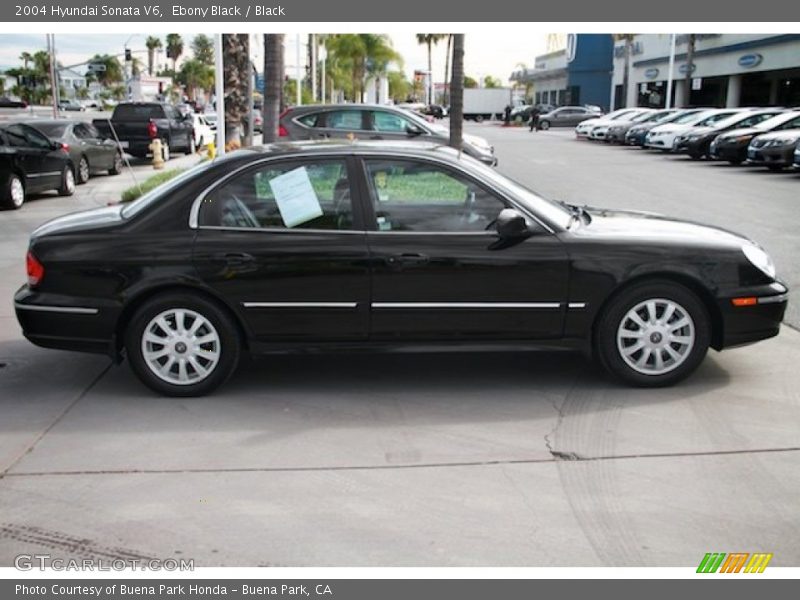 Ebony Black / Black 2004 Hyundai Sonata V6