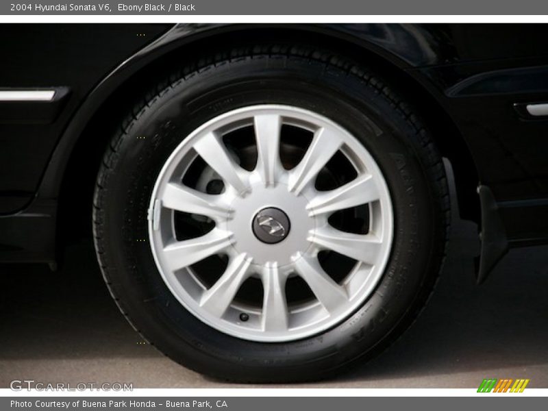 Ebony Black / Black 2004 Hyundai Sonata V6
