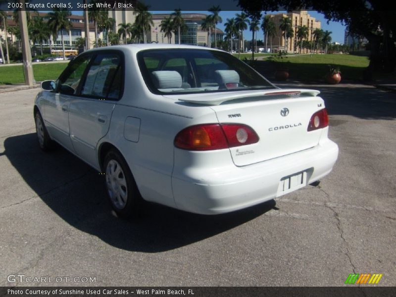 Super White / Black 2002 Toyota Corolla S