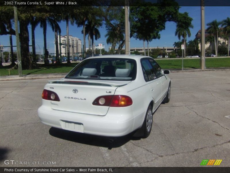Super White / Black 2002 Toyota Corolla S