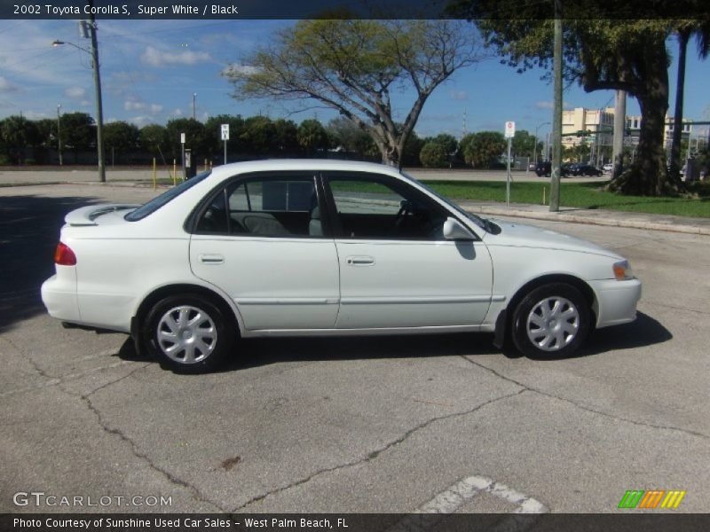 Super White / Black 2002 Toyota Corolla S