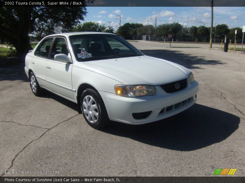 Super White / Black 2002 Toyota Corolla S