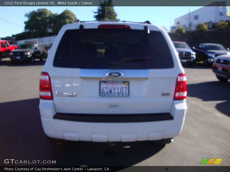 White Suede / Camel 2012 Ford Escape Limited V6