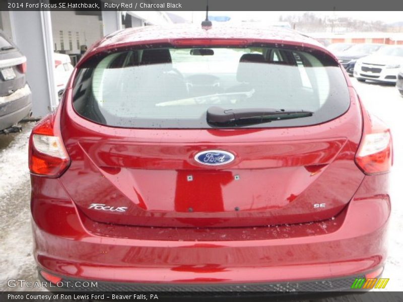 Ruby Red / Charcoal Black 2014 Ford Focus SE Hatchback