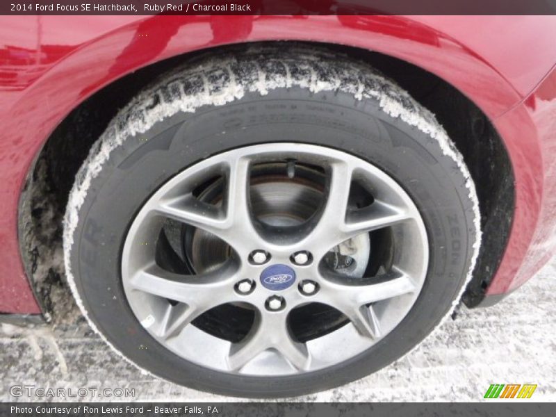 Ruby Red / Charcoal Black 2014 Ford Focus SE Hatchback