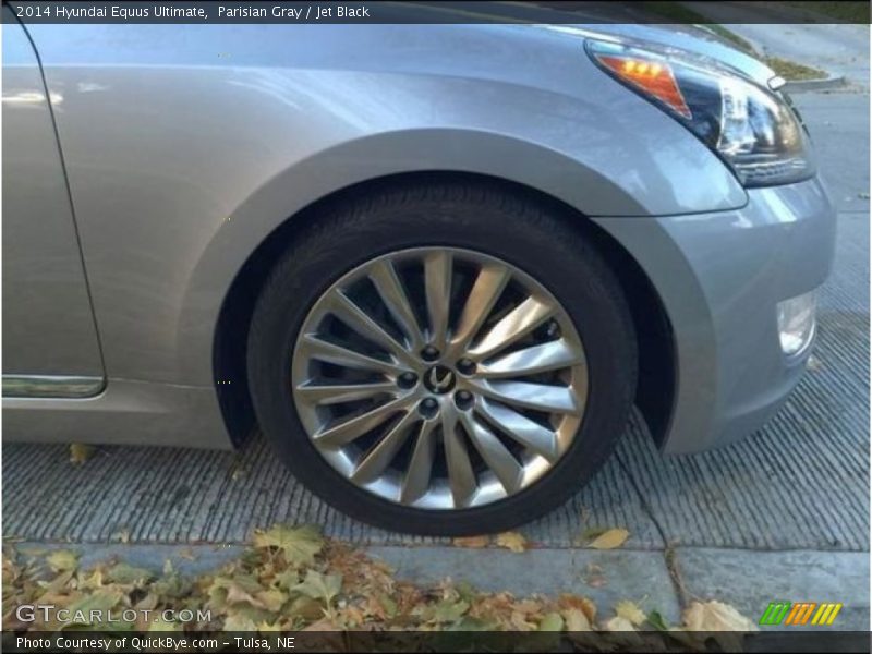 Parisian Gray / Jet Black 2014 Hyundai Equus Ultimate