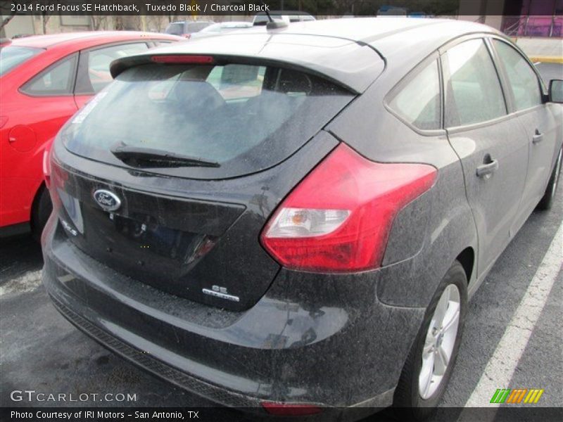 Tuxedo Black / Charcoal Black 2014 Ford Focus SE Hatchback