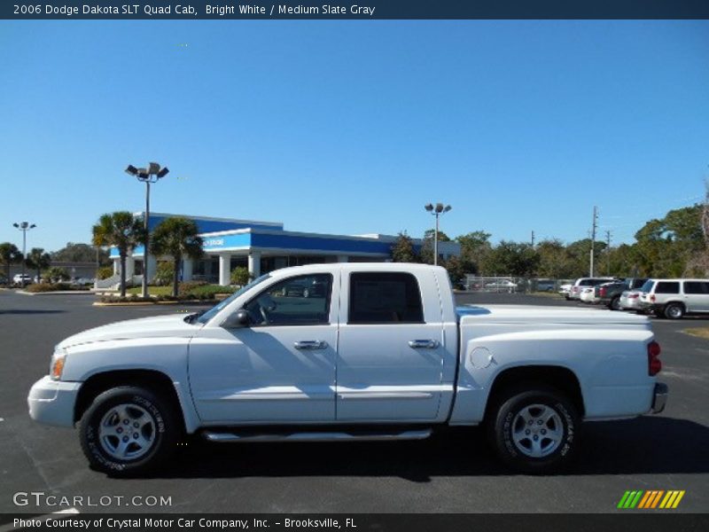 Bright White / Medium Slate Gray 2006 Dodge Dakota SLT Quad Cab