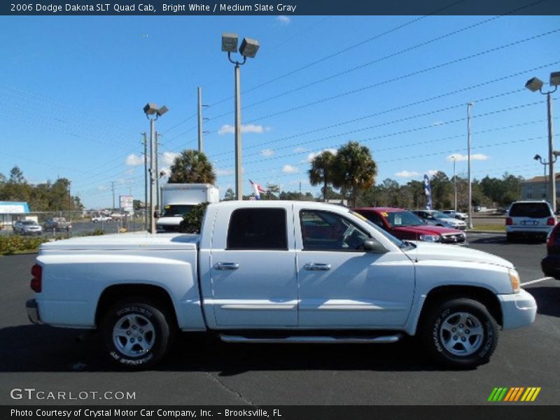 Bright White / Medium Slate Gray 2006 Dodge Dakota SLT Quad Cab