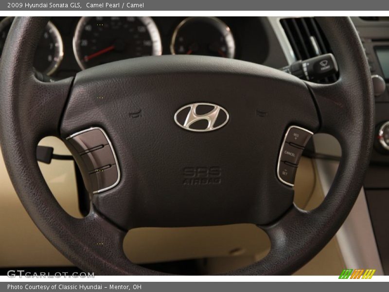 Camel Pearl / Camel 2009 Hyundai Sonata GLS