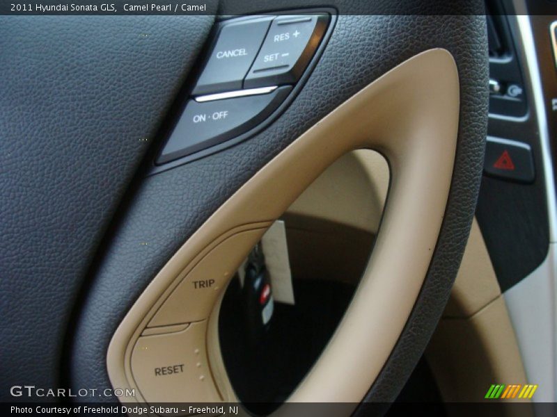 Camel Pearl / Camel 2011 Hyundai Sonata GLS