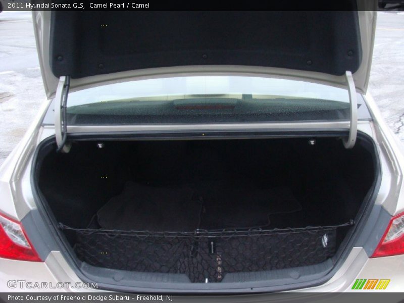Camel Pearl / Camel 2011 Hyundai Sonata GLS