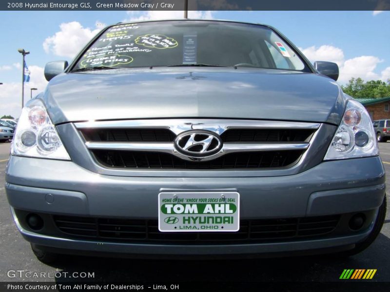 Green Meadow Gray / Gray 2008 Hyundai Entourage GLS
