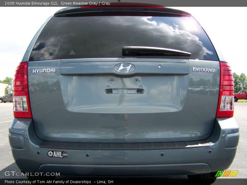 Green Meadow Gray / Gray 2008 Hyundai Entourage GLS