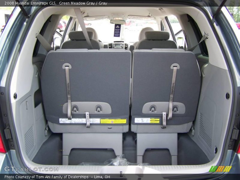 Green Meadow Gray / Gray 2008 Hyundai Entourage GLS