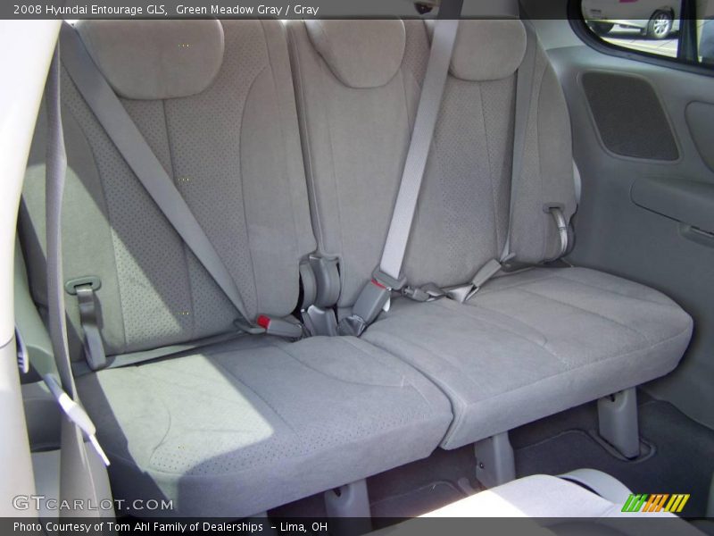 Green Meadow Gray / Gray 2008 Hyundai Entourage GLS