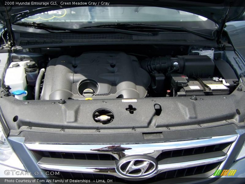 Green Meadow Gray / Gray 2008 Hyundai Entourage GLS