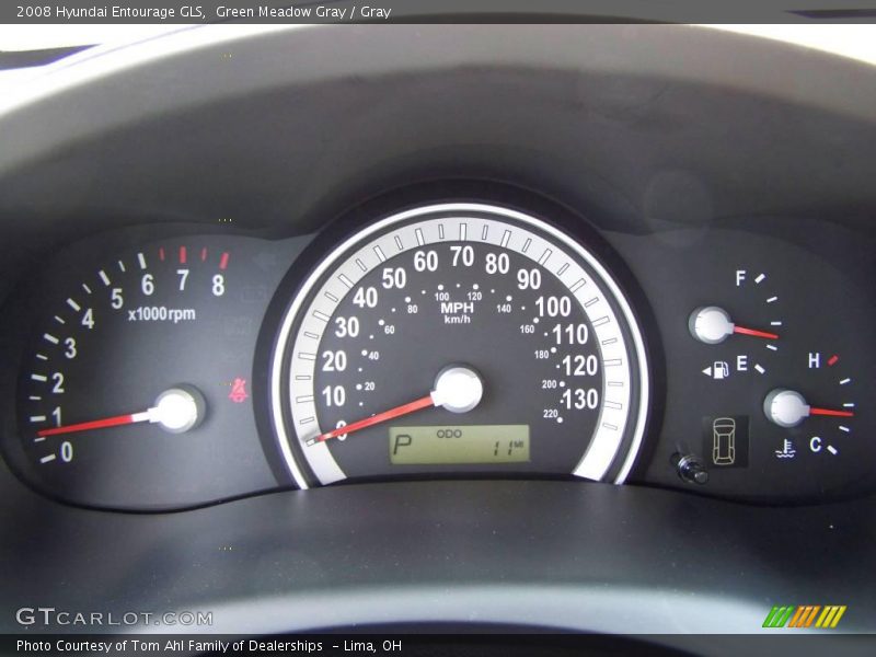 Green Meadow Gray / Gray 2008 Hyundai Entourage GLS