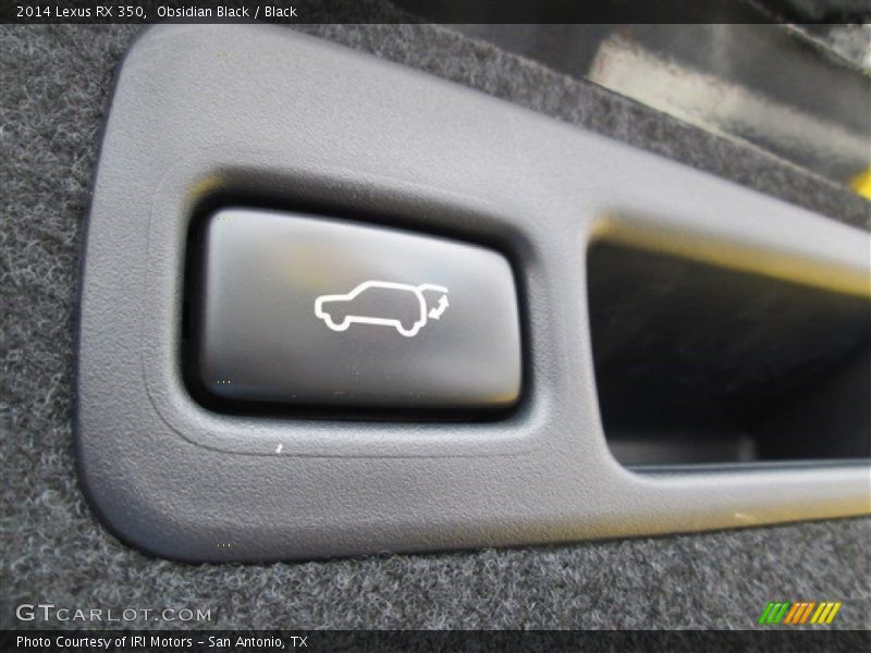 Obsidian Black / Black 2014 Lexus RX 350