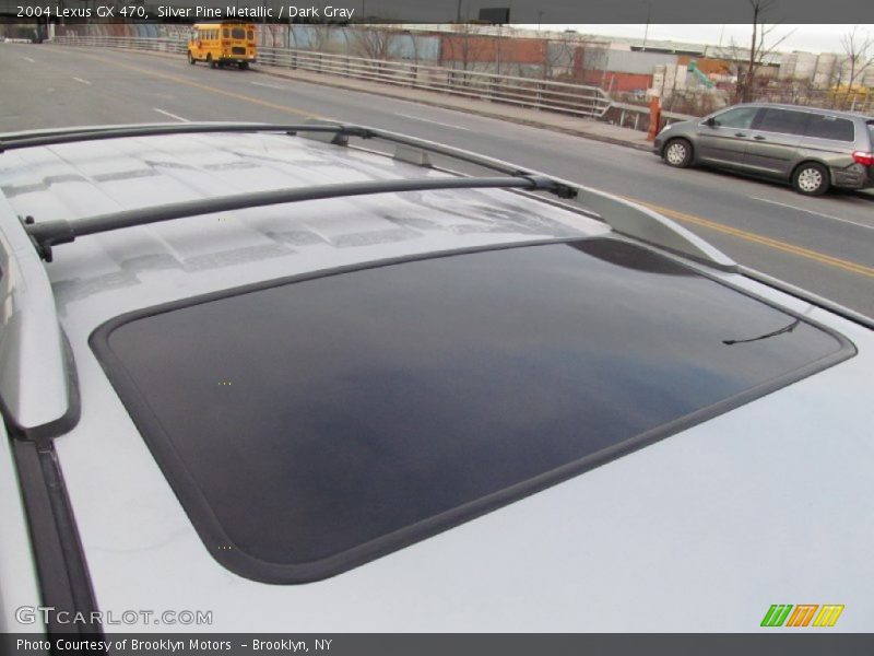 Silver Pine Metallic / Dark Gray 2004 Lexus GX 470