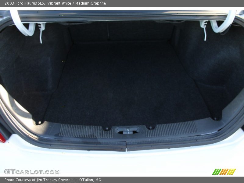 Vibrant White / Medium Graphite 2003 Ford Taurus SES