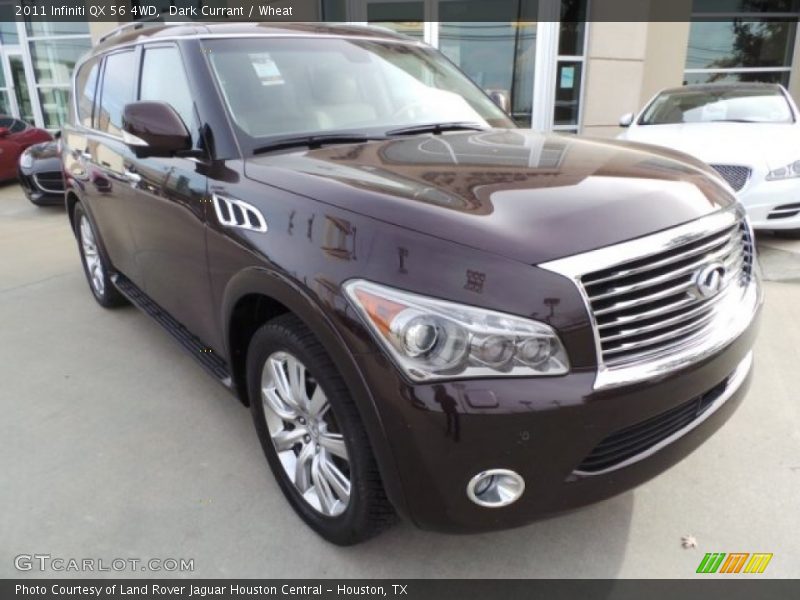 Dark Currant / Wheat 2011 Infiniti QX 56 4WD