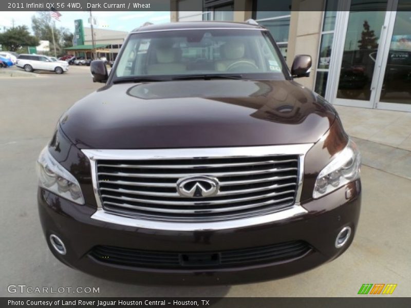 Dark Currant / Wheat 2011 Infiniti QX 56 4WD