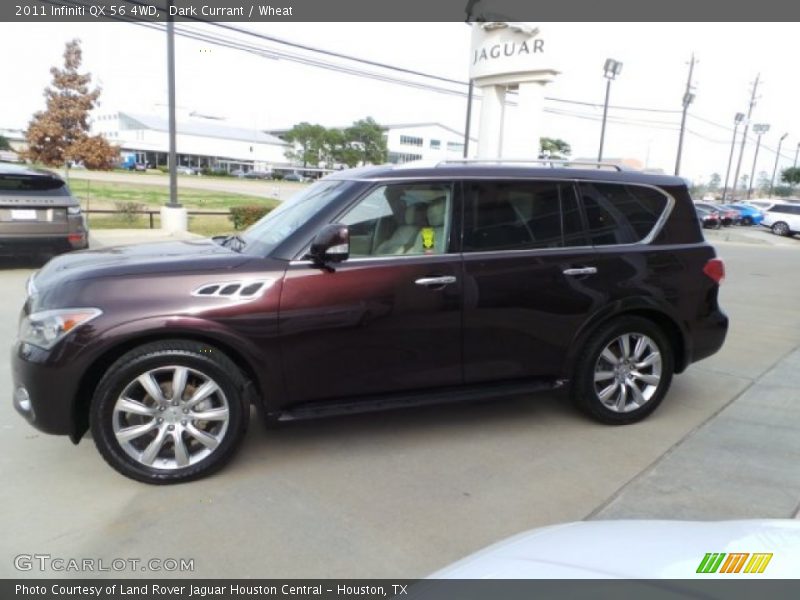 Dark Currant / Wheat 2011 Infiniti QX 56 4WD