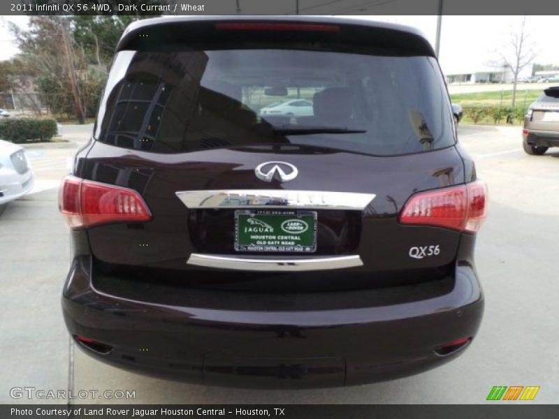 Dark Currant / Wheat 2011 Infiniti QX 56 4WD