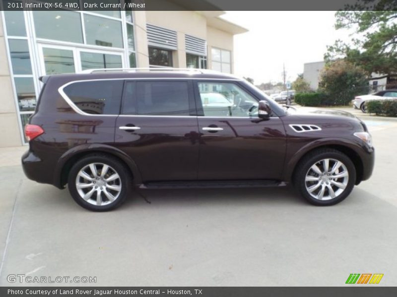 Dark Currant / Wheat 2011 Infiniti QX 56 4WD