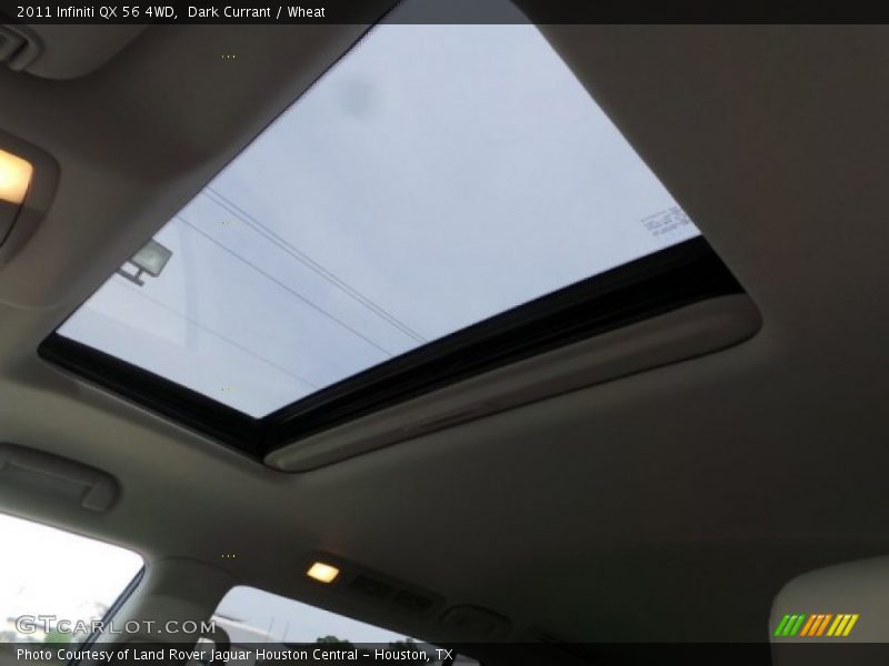 Dark Currant / Wheat 2011 Infiniti QX 56 4WD