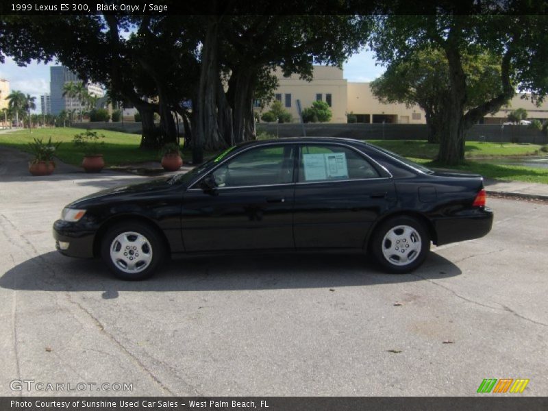 Black Onyx / Sage 1999 Lexus ES 300