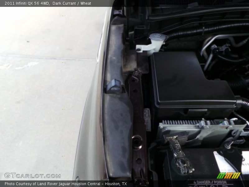 Dark Currant / Wheat 2011 Infiniti QX 56 4WD