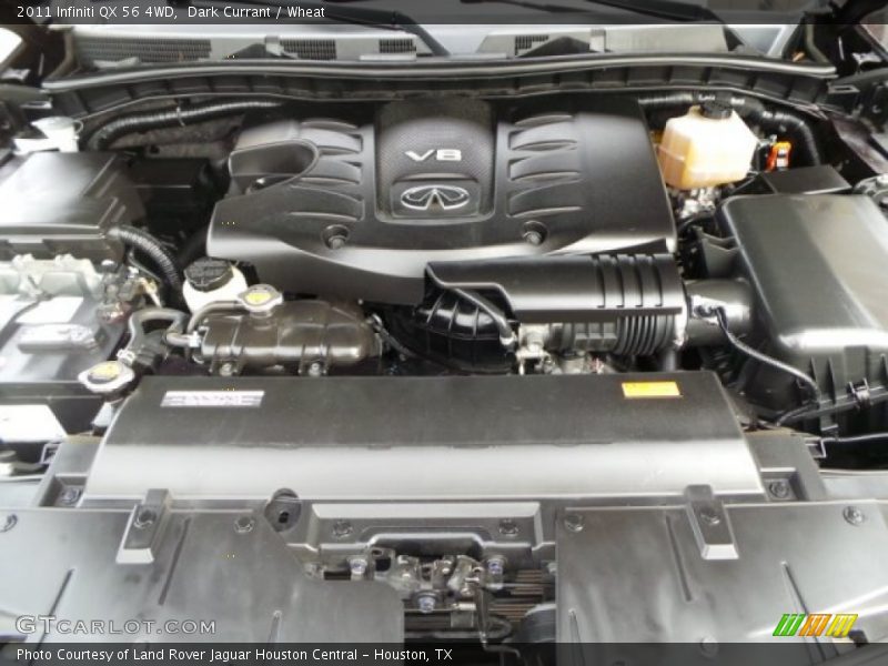 Dark Currant / Wheat 2011 Infiniti QX 56 4WD
