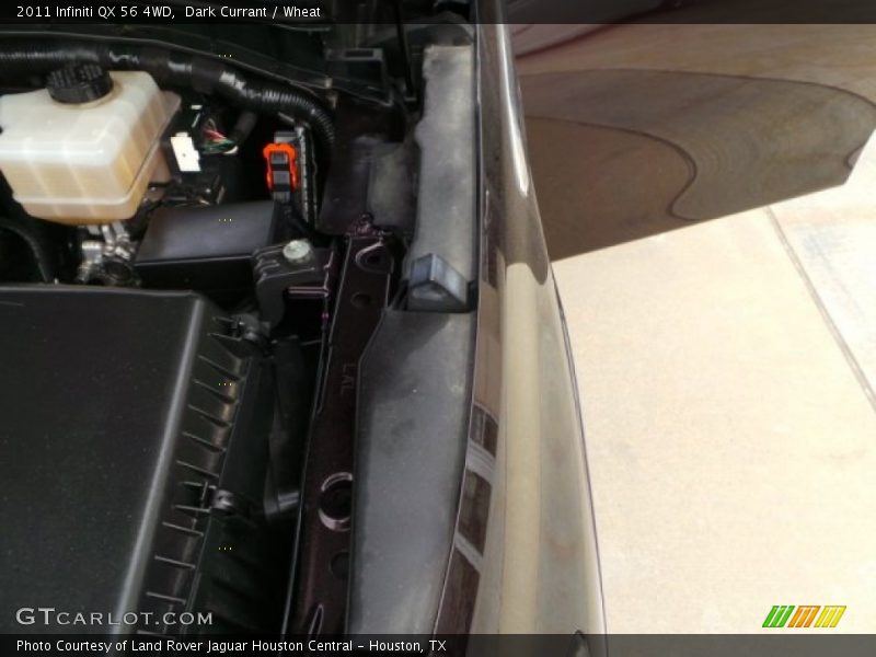 Dark Currant / Wheat 2011 Infiniti QX 56 4WD