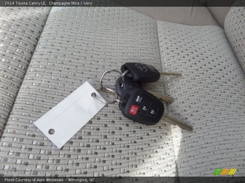 Champagne Mica / Ivory 2014 Toyota Camry LE