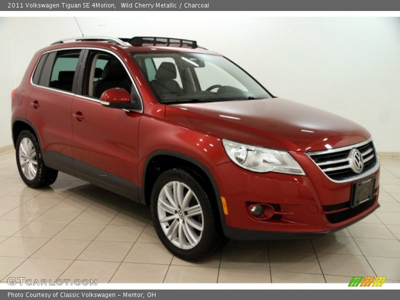 Wild Cherry Metallic / Charcoal 2011 Volkswagen Tiguan SE 4Motion