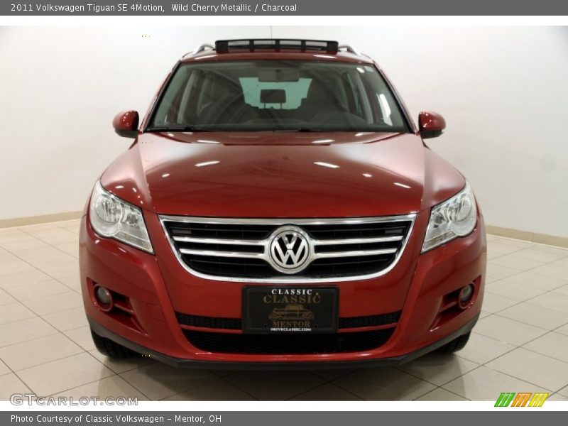 Wild Cherry Metallic / Charcoal 2011 Volkswagen Tiguan SE 4Motion